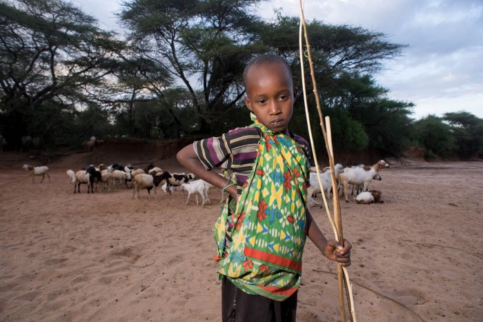 Lchekutis, los niños pastores masai